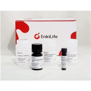 HRP Anti-Mouse/Rabbit IHC 检测试剂盒(DAB系统）| EnkiLife恩玑生命