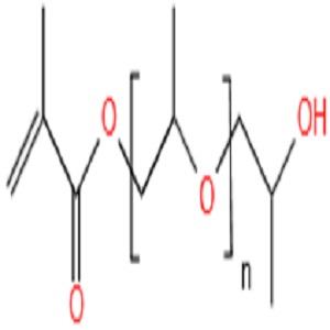 聚1,2-丙二醇单甲基丙烯酸酯