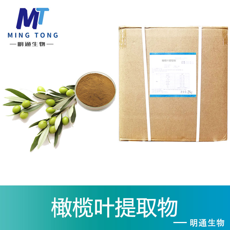 橄榄叶提取物