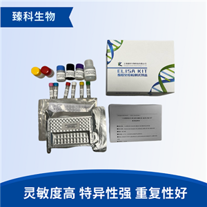 大鼠β淀粉样蛋白25-35(Aβ25-35）elisa试剂盒