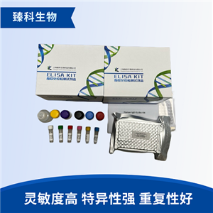 大鼠对氯苯丙氨酸(PCPA）elisa试剂盒