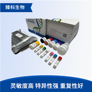 猴肿瘤坏死因子α(TNF-α）elisa试剂盒