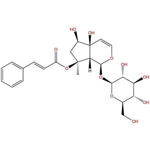 哈巴俄苷，Harpagoside，19210-12-9