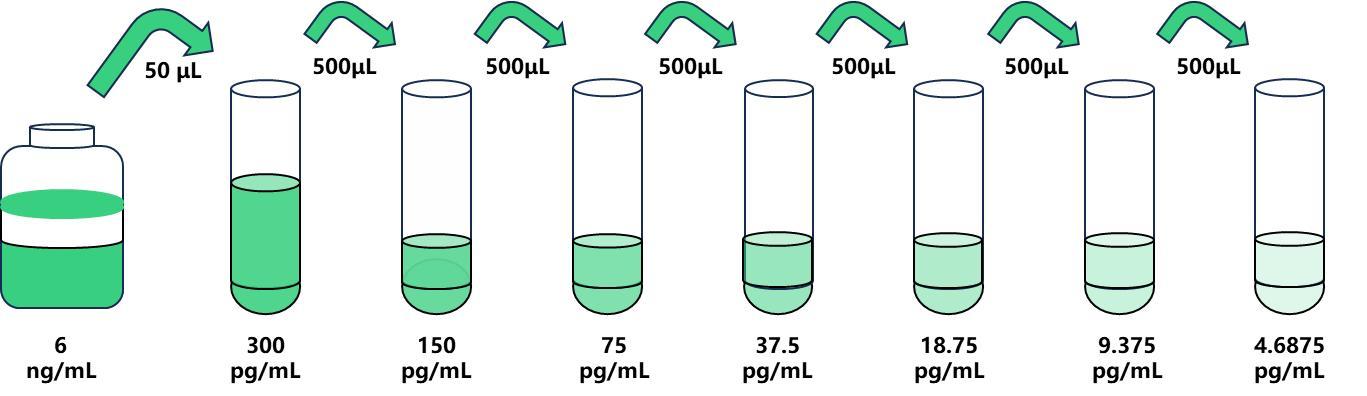 4.6875~300pg.jpg 4.6875~300pg.jpg