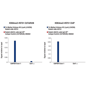 高速质粒大提试剂盒（25 次）
