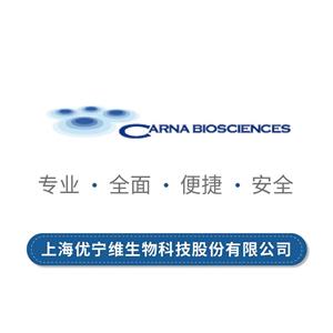 布鲁顿酪氨酸激酶