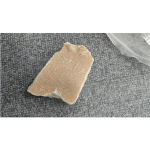 ?聚癸二酸酐的合成与应用