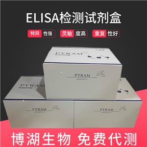兔白介素10(IL-10)ELISA试剂盒