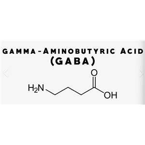 γ-氨基丁酸/GABA