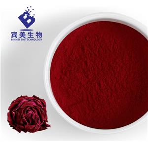 宾美 重瓣红玫瑰粉