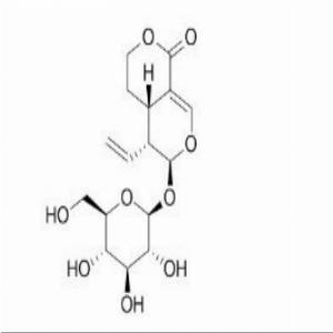 獐芽菜苷，当归甙
