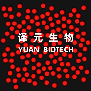 聚苯乙烯荧光微球