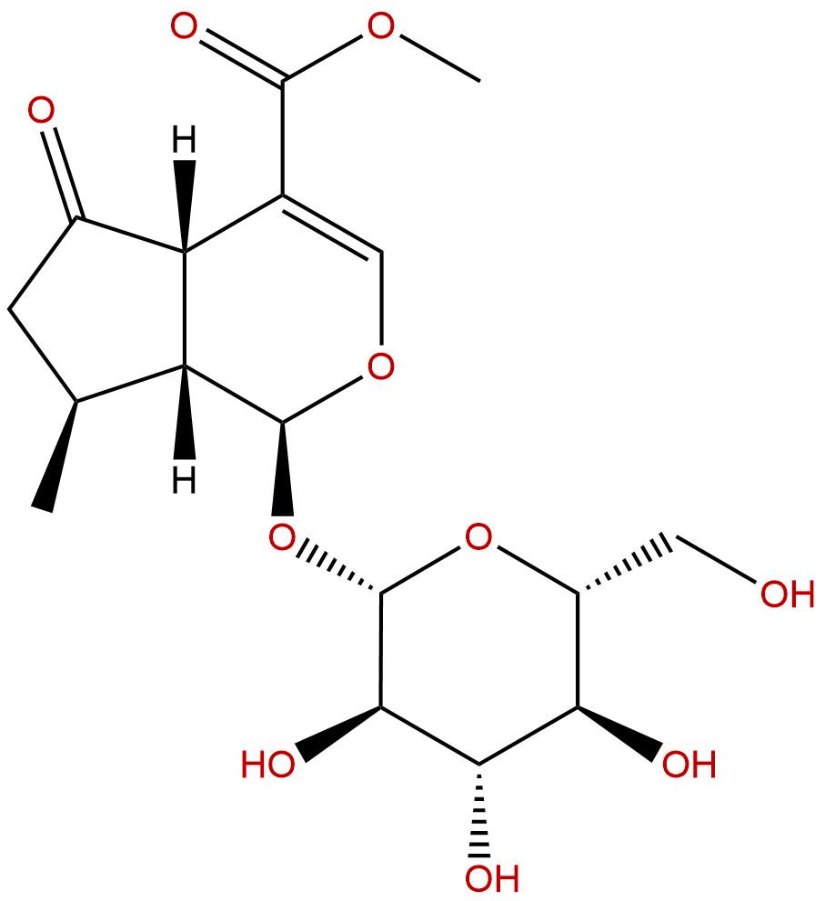 马鞭草苷;山茱萸苷