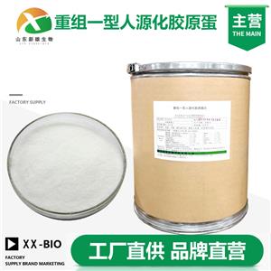 重组一型人源化胶原蛋白