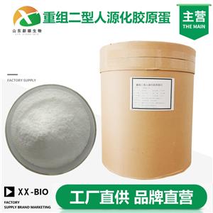 重组二型人源化胶原蛋白