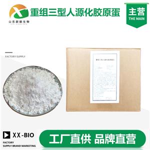 重组三型人源化胶原蛋白