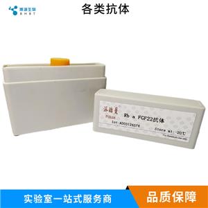 黑色素瘤硫酸软骨素蛋白多糖4抗体