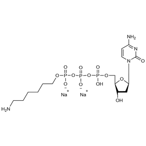 正己胺修饰的脱氧胞苷三磷酸