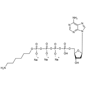 正己胺修饰的脱氧腺苷四磷酸