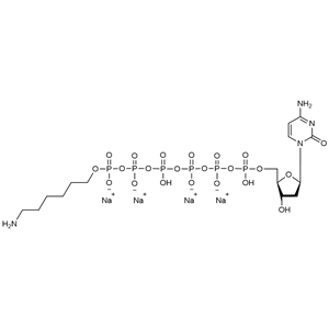 正己胺修饰的脱氧胞苷六磷酸