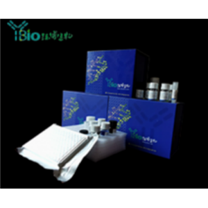 人白细胞介素16(IL-16)ELISA试剂盒 YB71926Hu