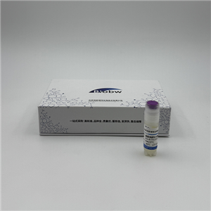 Streptococcus Parapneumoniae