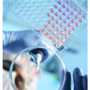 Affinity多肽合成 