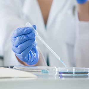 全外显子测序服务