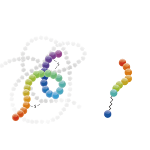 多肽定制合成服务