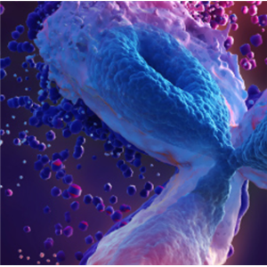 无细胞蛋白表达服务 特色服务 义翘神州