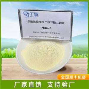 还原型烟酰胺腺嘌呤二核苷酸（NADH）