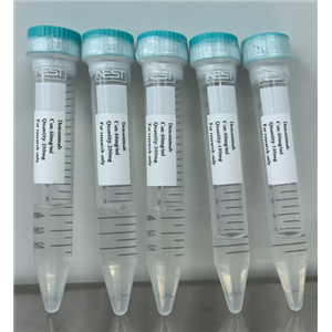 狄诺塞麦/迪诺苏单抗-Denosumab-615258-40-7