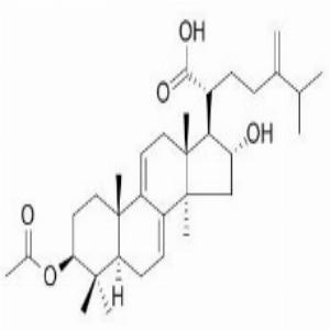 去氢茯苓酸