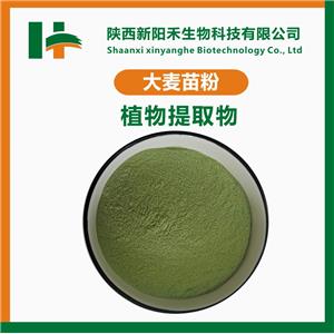 大麦苗粉/小麦苗粉/麦苗粉/大麦若叶粉