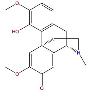 清风藤碱，(-)-Sinoacutine，4090-18-0