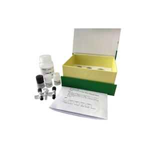 过氧化氢酶(CAT)测定试剂盒/微量法/48样