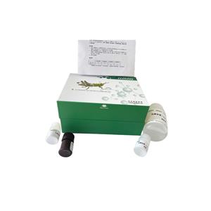 外切-β-1，4-葡聚糖酶/纤维二糖水解酶(C1)测定试剂盒/24样