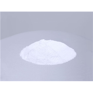 P-LySoPC棕榈酰溶血卵磷脂