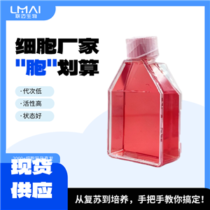 BEL-7402细胞（肝癌细胞）LM8C0031