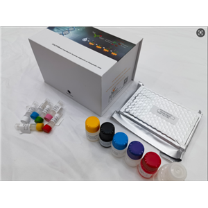 犬肌钙蛋白I（Tn-Ⅰ）elisa试剂盒