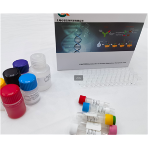 犬肌酸激酶（CK）elisa试剂盒