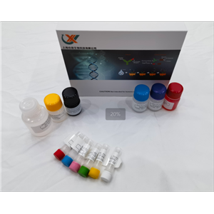 犬降钙素原（PCT）elisa试剂盒