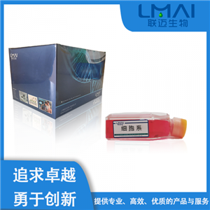 P3X63Ag8.653细胞（小鼠骨髓瘤细胞）LM8C0410