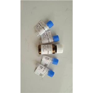 生物素聚乙二醇琥珀酰亚胺碳酸酯，Biotin-PEG-SC