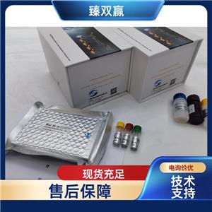 人过氧化物酶体增殖物激活受体γ(PPAR-γ)ELISA试剂盒