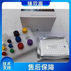 人瘦素(LEP)ELISA试剂盒