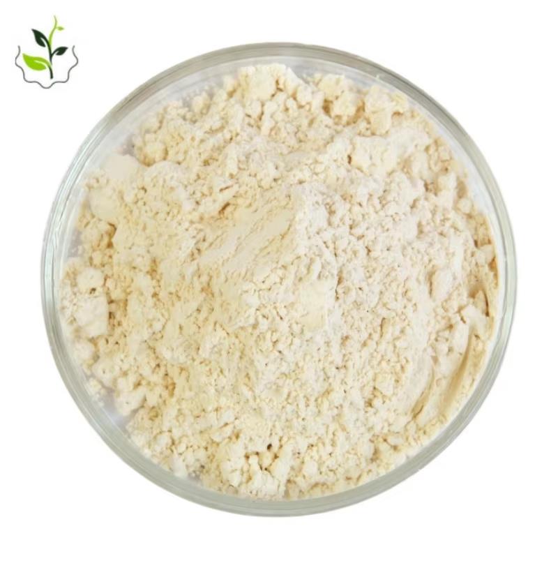 藤茶二氢杨梅素提取物粉末