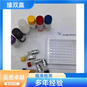 人神经元富含亮氨酸重复蛋白3(LRRN3)ELISA试剂盒