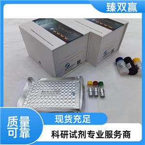 人可溶性细胞毒性T-淋巴细胞关联抗原4(sCTLA-4)ELISA试剂盒