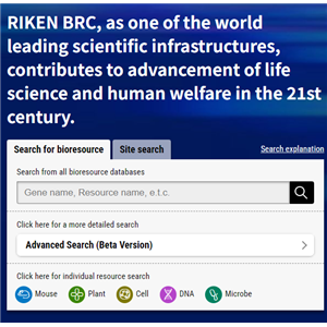 日本RIKEN细胞系--海外代购服务